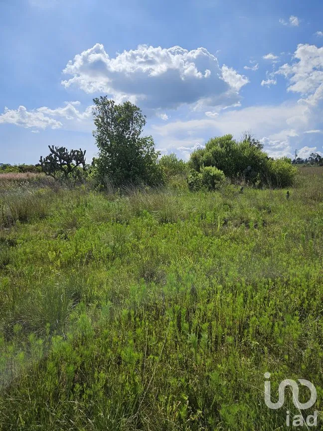 Terreno en Venta en San Pedro Tenango, Amealco de Bonfil, Querétaro | NEX-303812 | iad México | Foto 7 de 8