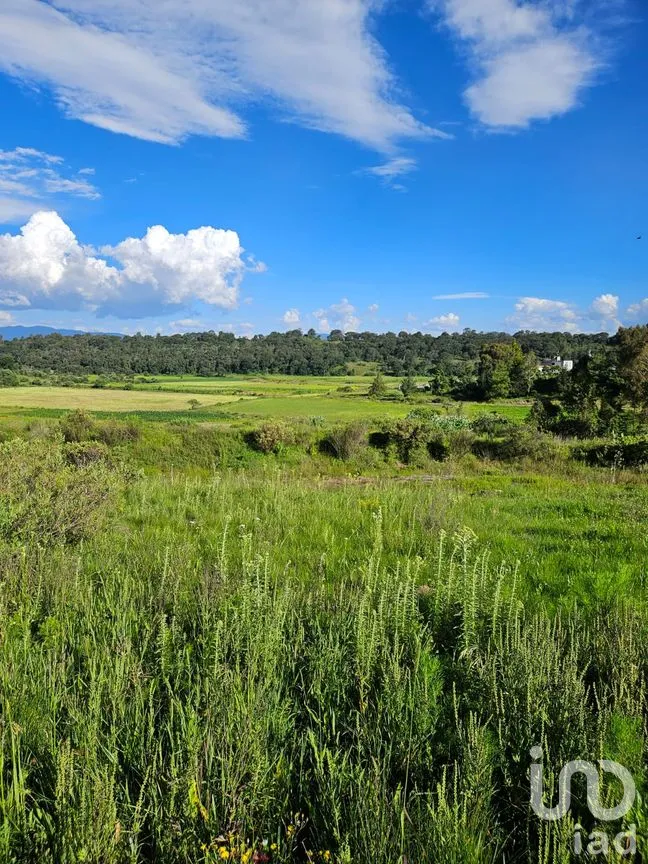 Terreno en Venta en San Pedro Tenango, Amealco de Bonfil, Querétaro | NEX-303828 | iad México | Foto 11 de 11