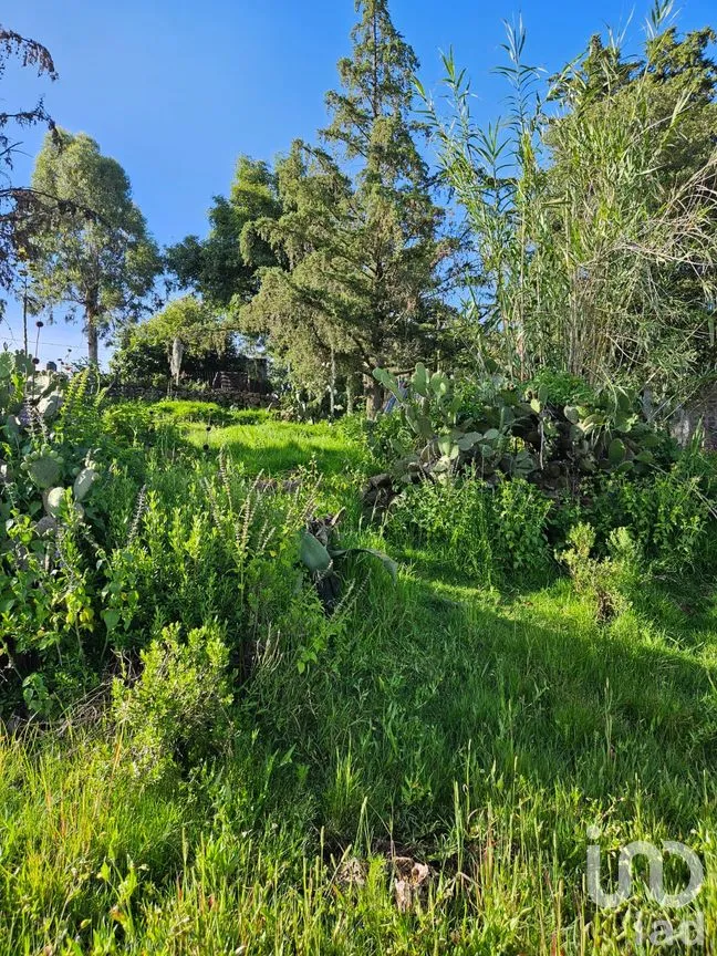 Terreno en Venta en San Pedro Tenango, Amealco de Bonfil, Querétaro | NEX-303828 | iad México | Foto 4 de 11