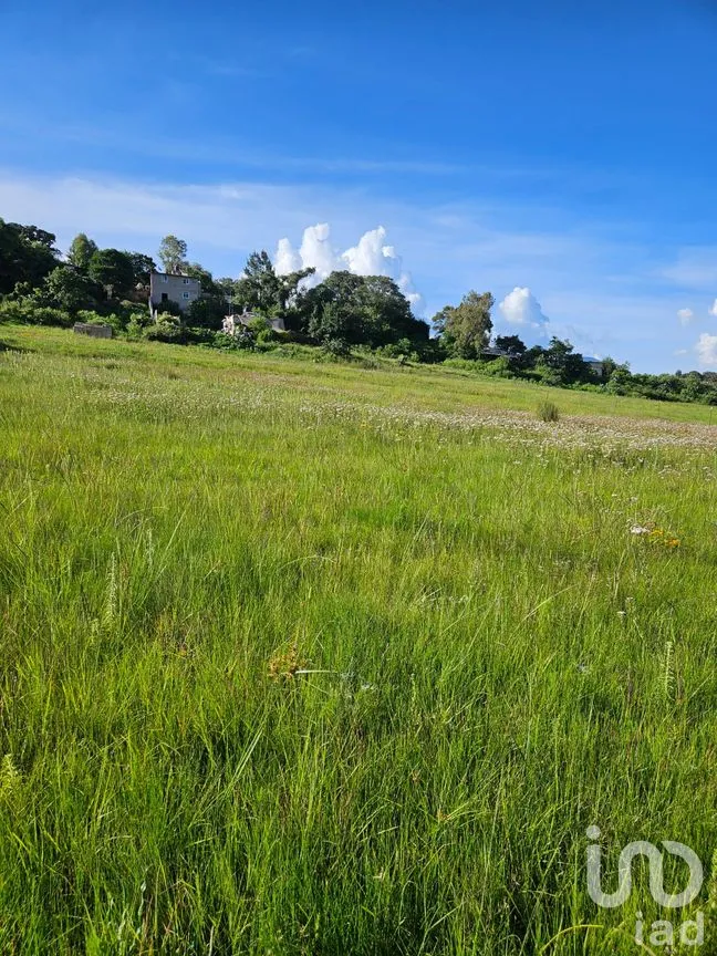 Terreno en Venta en San Pedro Tenango, Amealco de Bonfil, Querétaro | NEX-303828 | iad México | Foto 5 de 11