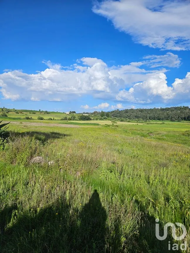 Terreno en Venta en San Pedro Tenango, Amealco de Bonfil, Querétaro | NEX-303828 | iad México | Foto 6 de 11