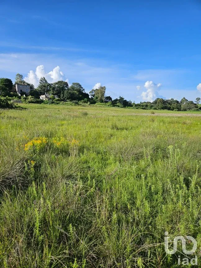 Terreno en Venta en San Pedro Tenango, Amealco de Bonfil, Querétaro | NEX-303828 | iad México | Foto 7 de 11