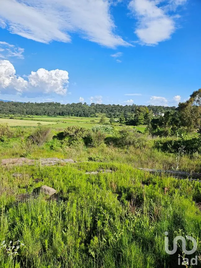 Terreno en Venta en San Pedro Tenango, Amealco de Bonfil, Querétaro | NEX-303828 | iad México | Foto 8 de 11
