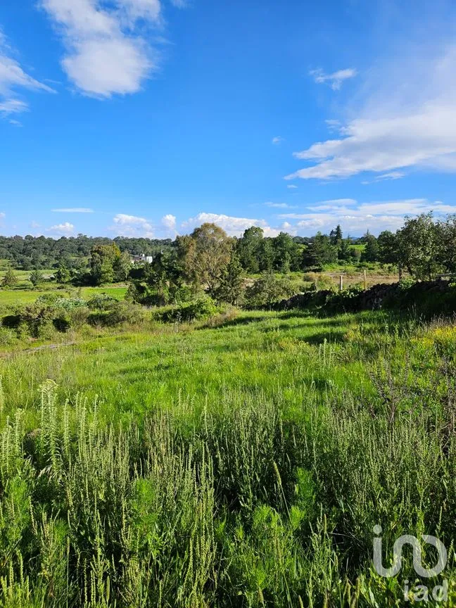 Terreno en Venta en San Pedro Tenango, Amealco de Bonfil, Querétaro | NEX-303828 | iad México | Foto 9 de 11