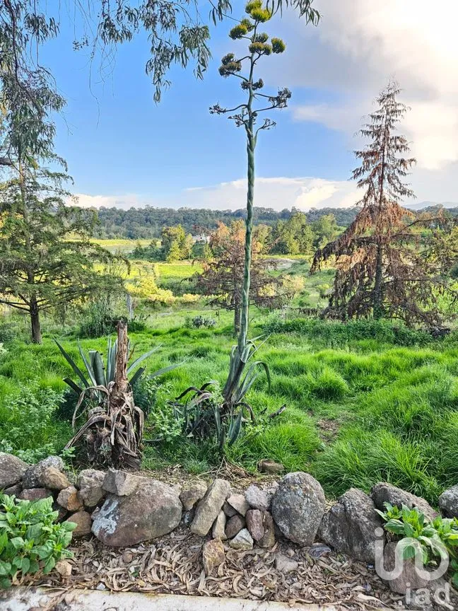 Terreno en Venta en San Pedro Tenango, Amealco de Bonfil, Querétaro | NEX-303828 | iad México | Foto 1 de 11