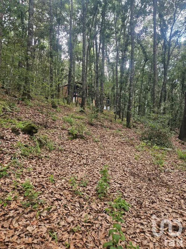 Terreno en Venta en Laguna de Servín, Amealco de Bonfil, Querétaro | NEX-304466 | iad México | Foto 2 de 14