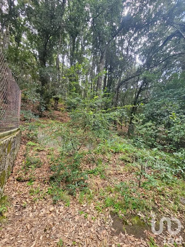Terreno en Venta en Laguna de Servín, Amealco de Bonfil, Querétaro | NEX-304466 | iad México | Foto 8 de 14