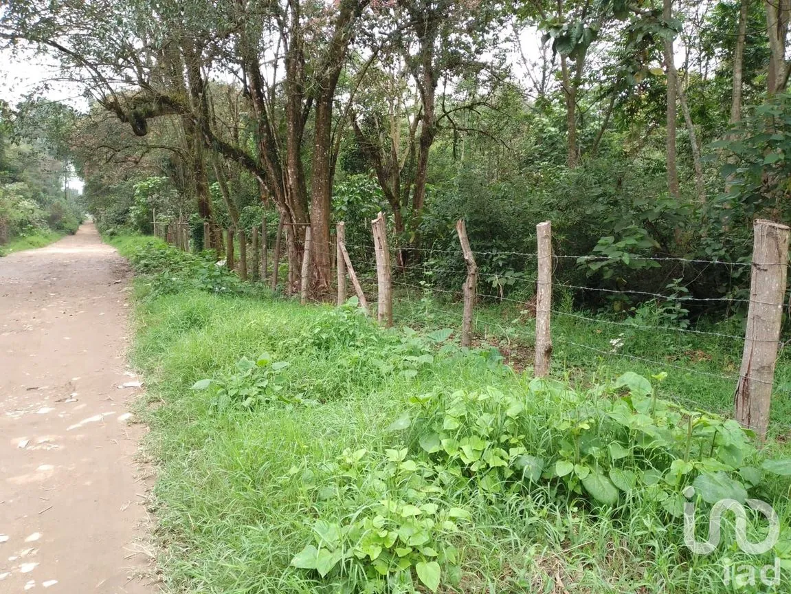 Terreno en Venta en Las Hayas, Coatepec, Veracruz de Ignacio de la Llave | NEX-251007 | iad México | Foto 2 de 8