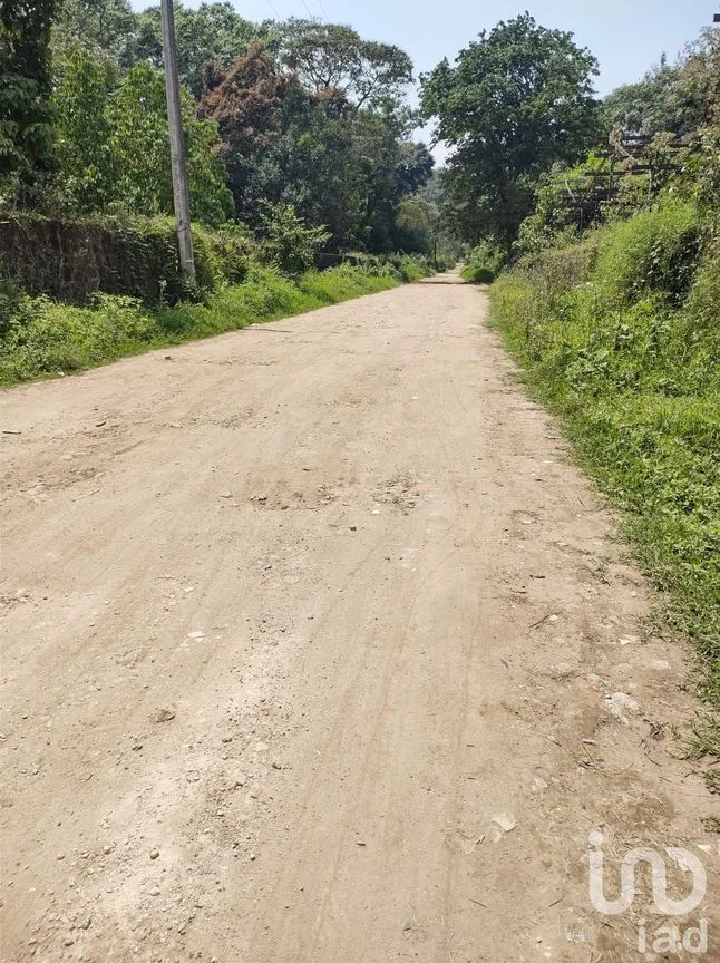 Terreno en Venta en Las Hayas, Coatepec, Veracruz de Ignacio de la Llave | NEX-251007 | iad México | Foto 3 de 8