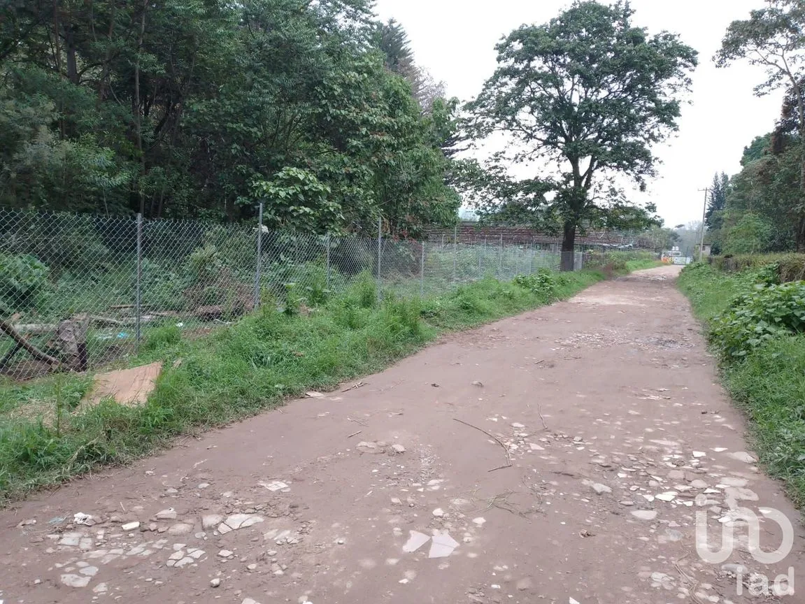Terreno en Venta en Las Hayas, Coatepec, Veracruz de Ignacio de la Llave | NEX-251007 | iad México | Foto 5 de 8