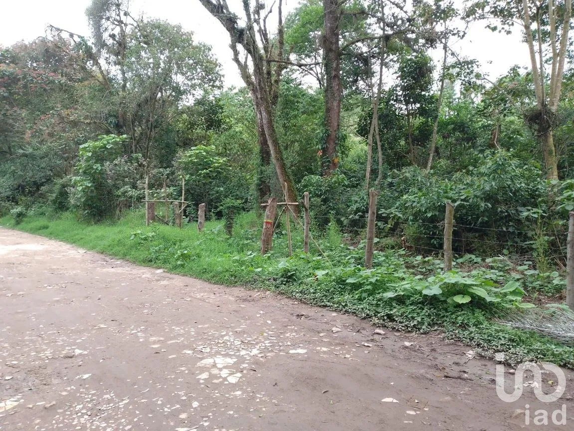 Terreno en Venta en Las Hayas, Coatepec, Veracruz de Ignacio de la Llave | NEX-251007 | iad México | Foto 6 de 8