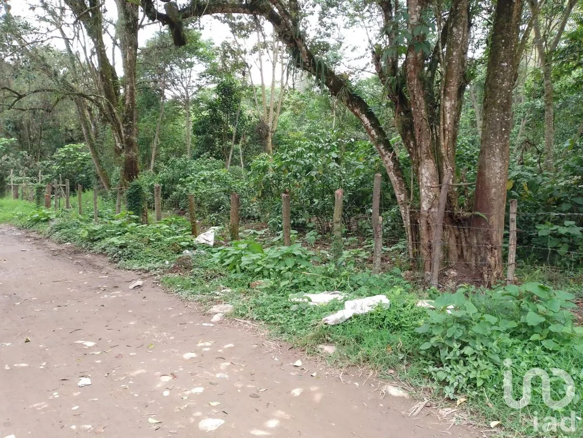 Terreno en Venta en Las Hayas, Coatepec, Veracruz de Ignacio de la Llave | NEX-251007 | iad México | Foto 7 de 8