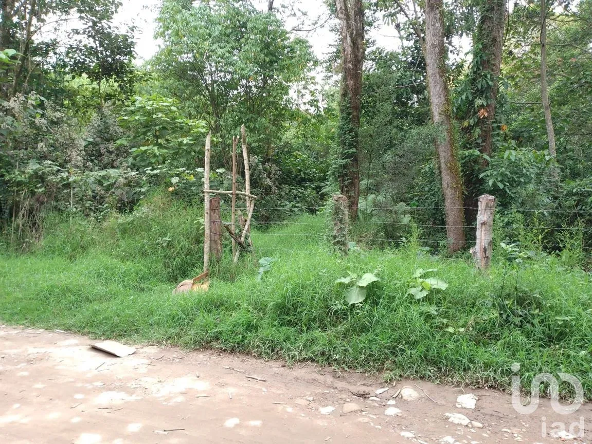 Terreno en Venta en Las Hayas, Coatepec, Veracruz de Ignacio de la Llave | NEX-251007 | iad México | Foto 8 de 8