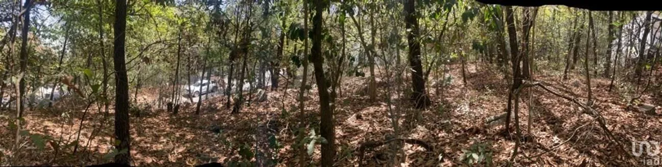 Terreno en Venta en Bosques de San Ángel Sector Palmillas, San Pedro Garza García, Nuevo León | NEX-43009 | iad México | Foto 5 de 9