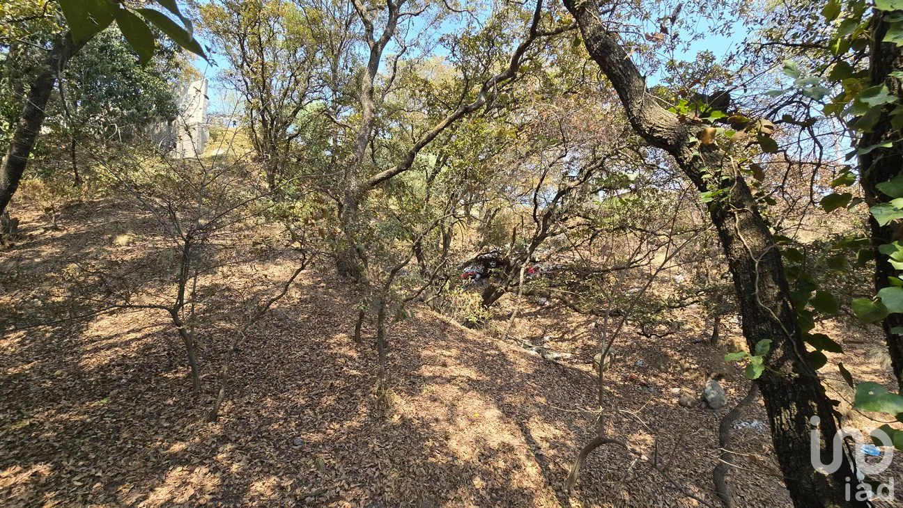 Terreno en Venta en Loma del Río, Nicolás Romero, México | NEX-290291 | iad México | Foto 11 de 24
