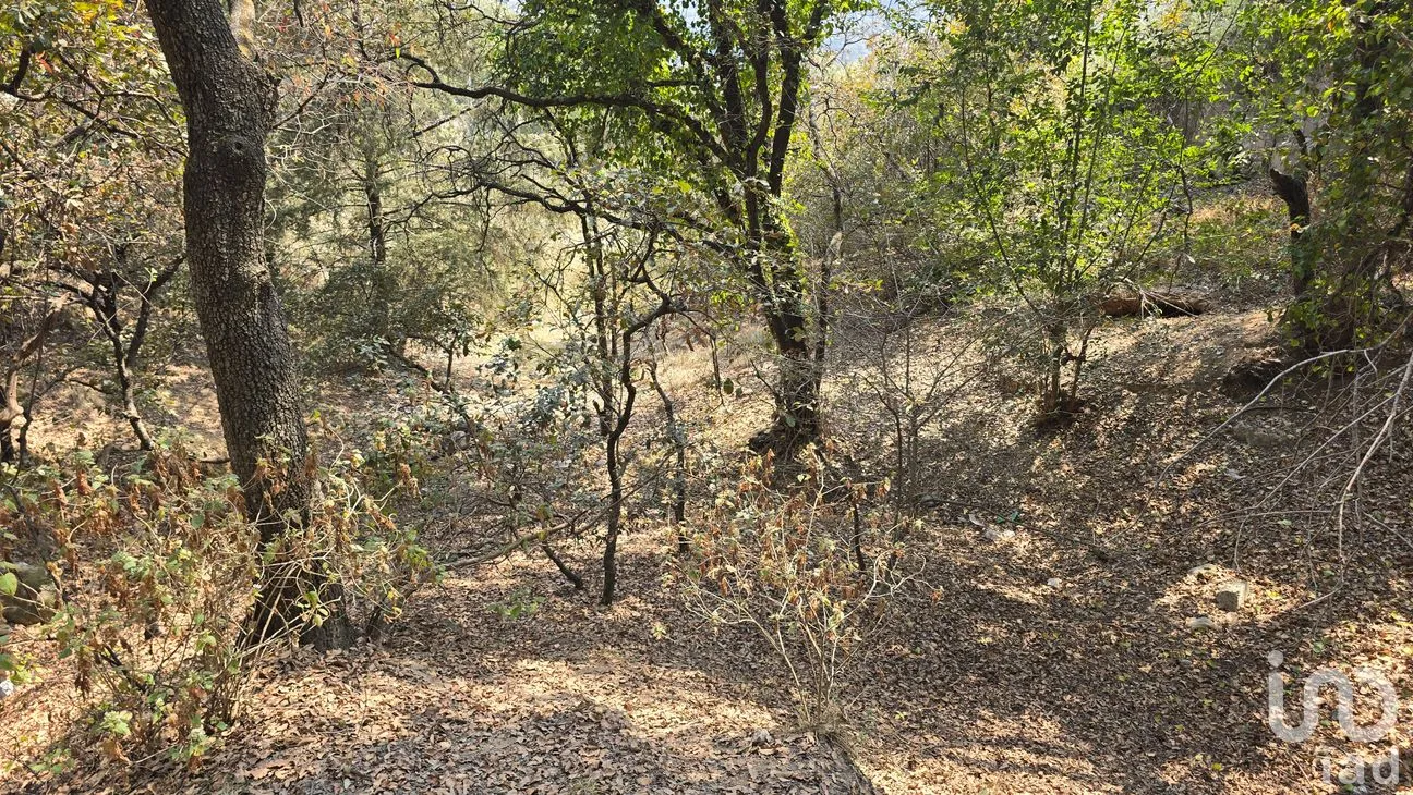 Terreno en Venta en Loma del Río, Nicolás Romero, México | NEX-290291 | iad México | Foto 12 de 24