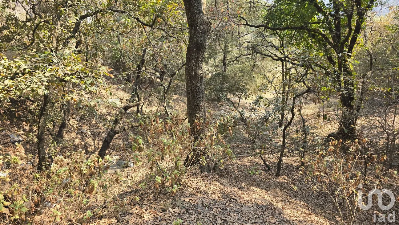 Terreno en Venta en Loma del Río, Nicolás Romero, México | NEX-290291 | iad México | Foto 13 de 24