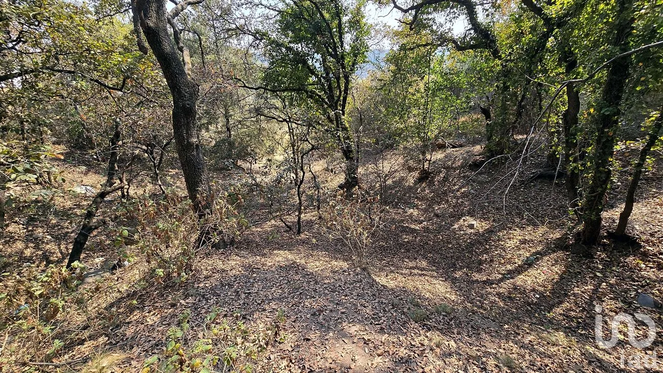 Terreno en Venta en Loma del Río, Nicolás Romero, México | NEX-290291 | iad México | Foto 14 de 24
