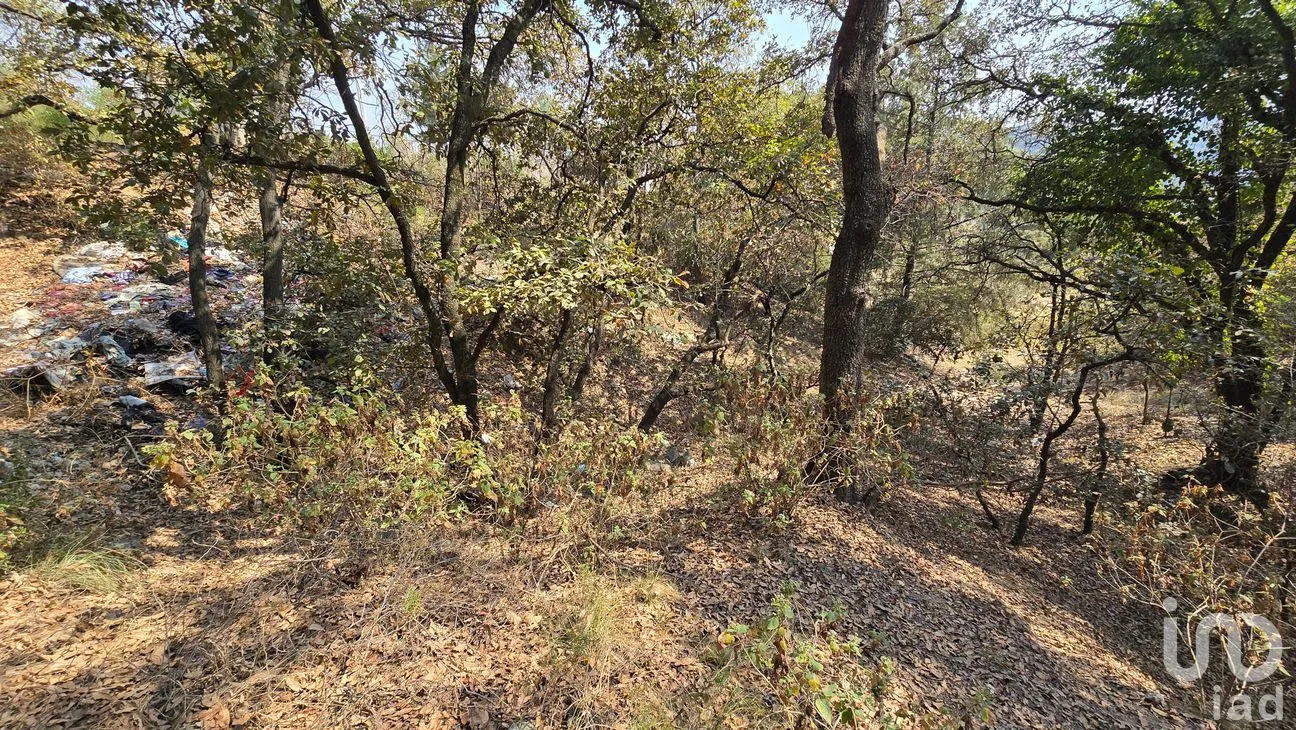 Terreno en Venta en Loma del Río, Nicolás Romero, México | NEX-290291 | iad México | Foto 15 de 24
