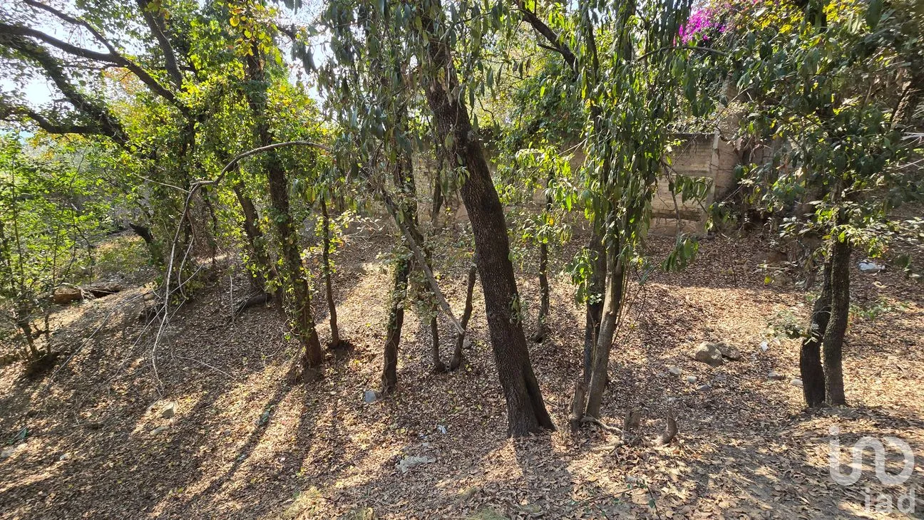 Terreno en Venta en Loma del Río, Nicolás Romero, México | NEX-290291 | iad México | Foto 16 de 24