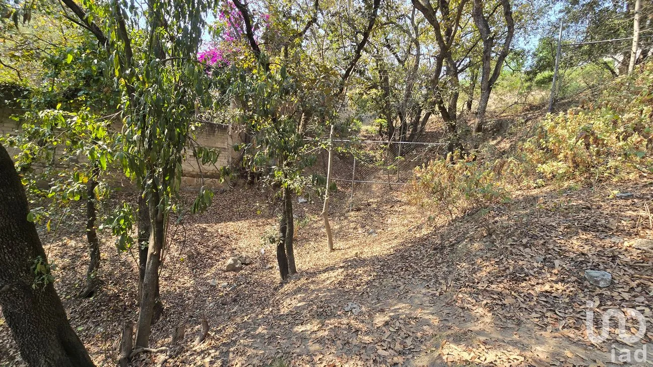 Terreno en Venta en Loma del Río, Nicolás Romero, México | NEX-290291 | iad México | Foto 17 de 24