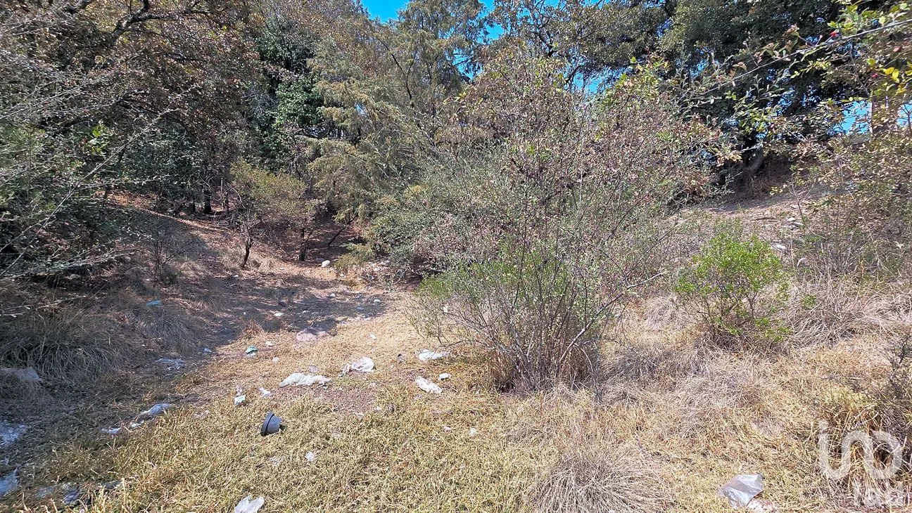 Terreno en Venta en Loma del Río, Nicolás Romero, México | NEX-290291 | iad México | Foto 5 de 24