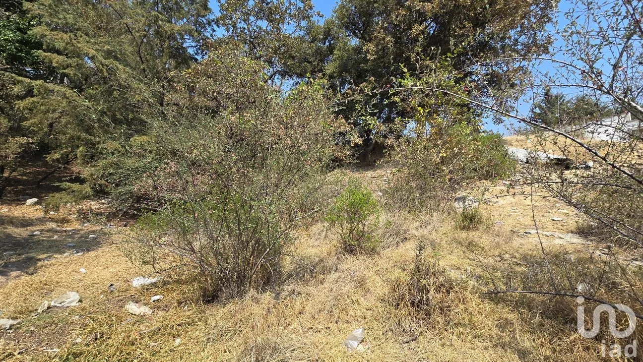 Terreno en Venta en Loma del Río, Nicolás Romero, México | NEX-290291 | iad México | Foto 6 de 24