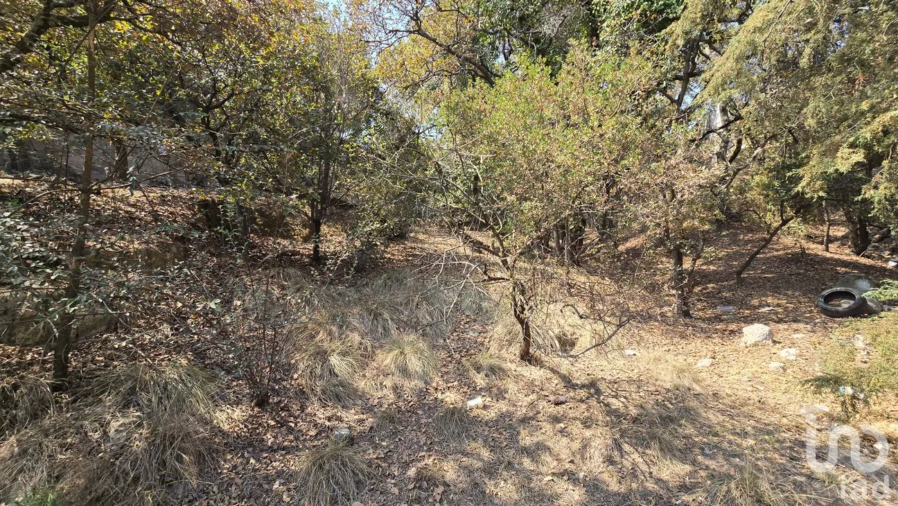Terreno en Venta en Loma del Río, Nicolás Romero, México | NEX-290291 | iad México | Foto 7 de 24