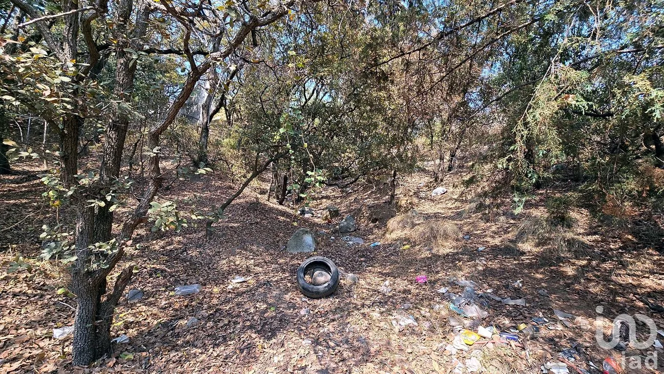 Terreno en Venta en Loma del Río, Nicolás Romero, México | NEX-290291 | iad México | Foto 8 de 24