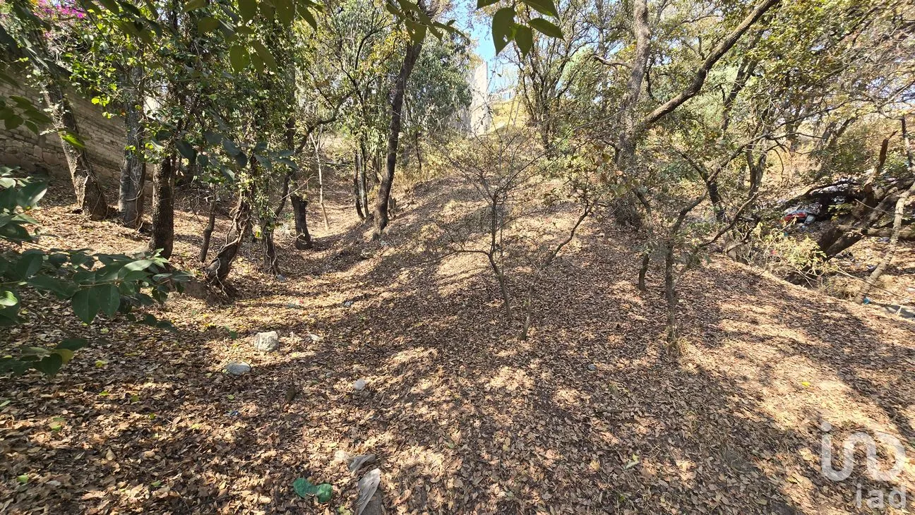 Terreno en Venta en Loma del Río, Nicolás Romero, México | NEX-290291 | iad México | Foto 9 de 24