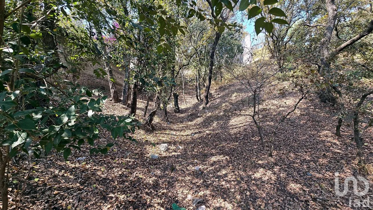 Terreno en Venta en Loma del Río, Nicolás Romero, México | NEX-290291 | iad México | Foto 10 de 24