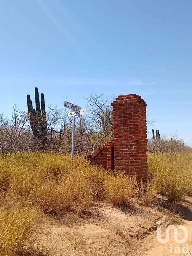 Terreno en Venta en El Carrizal, La Paz, Baja California Sur | NEX-248688 | iad México | Foto 6 de 9