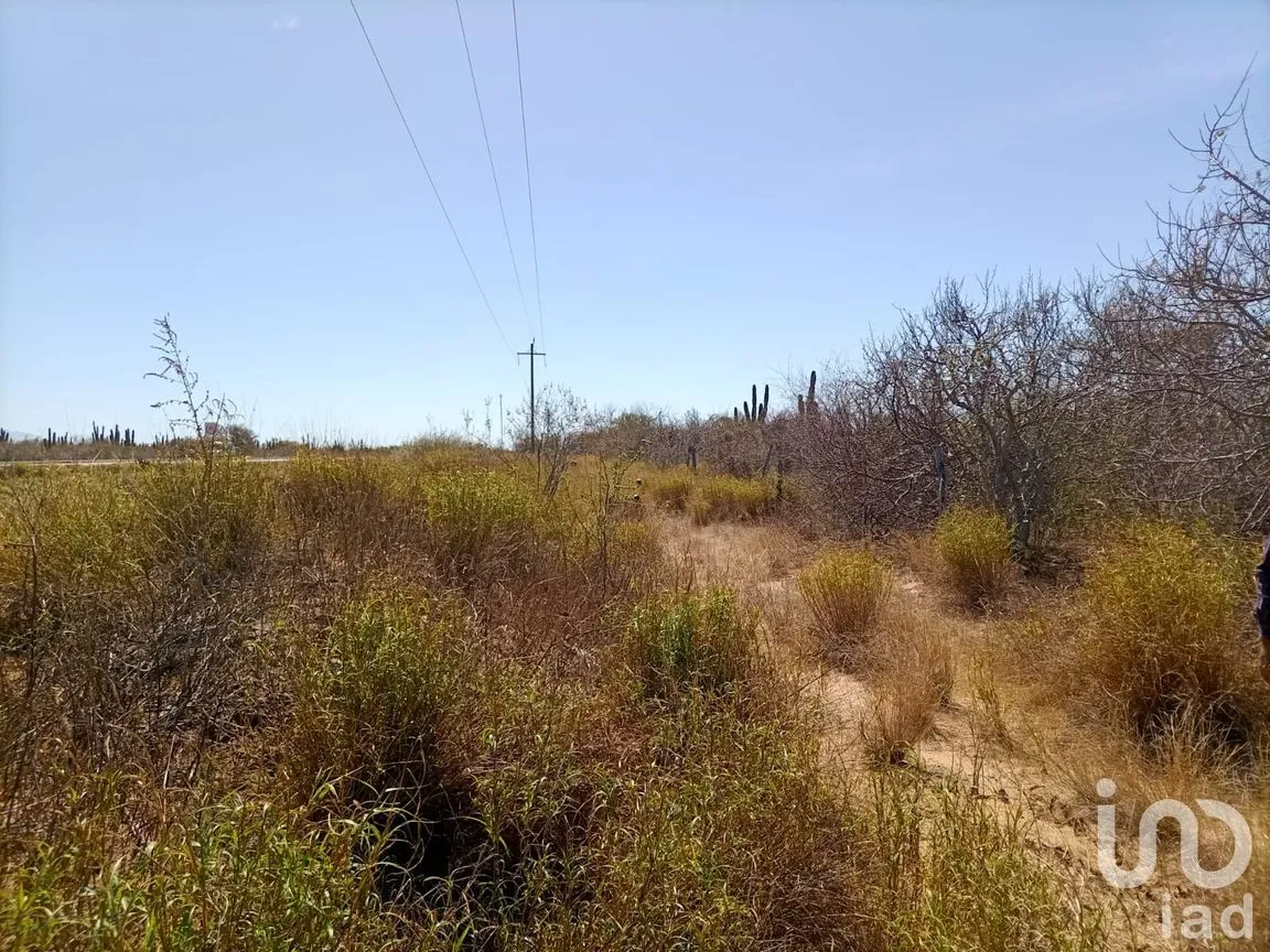 Terreno en Venta en El Carrizal, La Paz, Baja California Sur | NEX-248688 | iad México | Foto 7 de 9