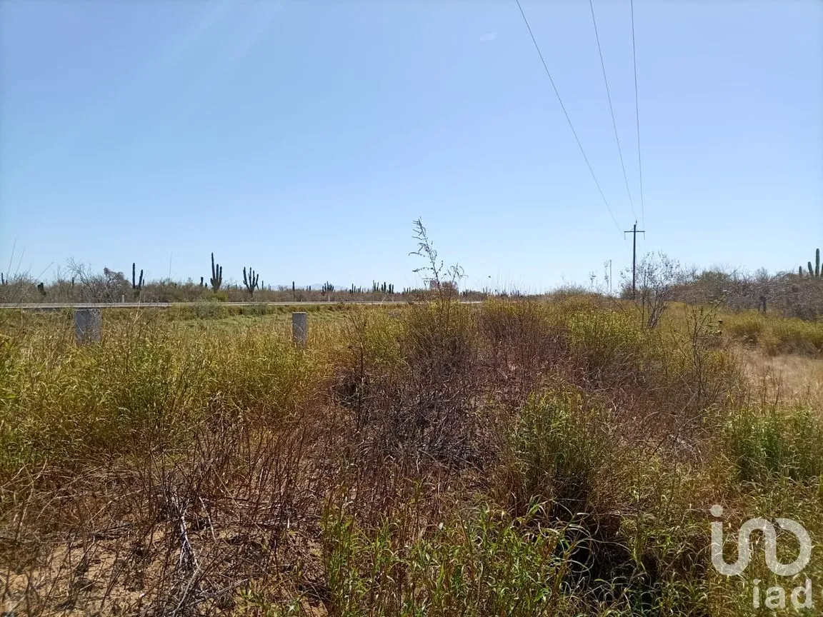 Terreno en Venta en El Carrizal, La Paz, Baja California Sur | NEX-248688 | iad México | Foto 8 de 9
