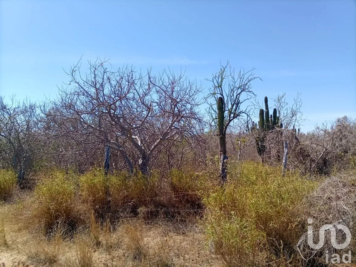 Terreno en Venta en El Carrizal, La Paz, Baja California Sur | NEX-248688 | iad México | Foto 9 de 9
