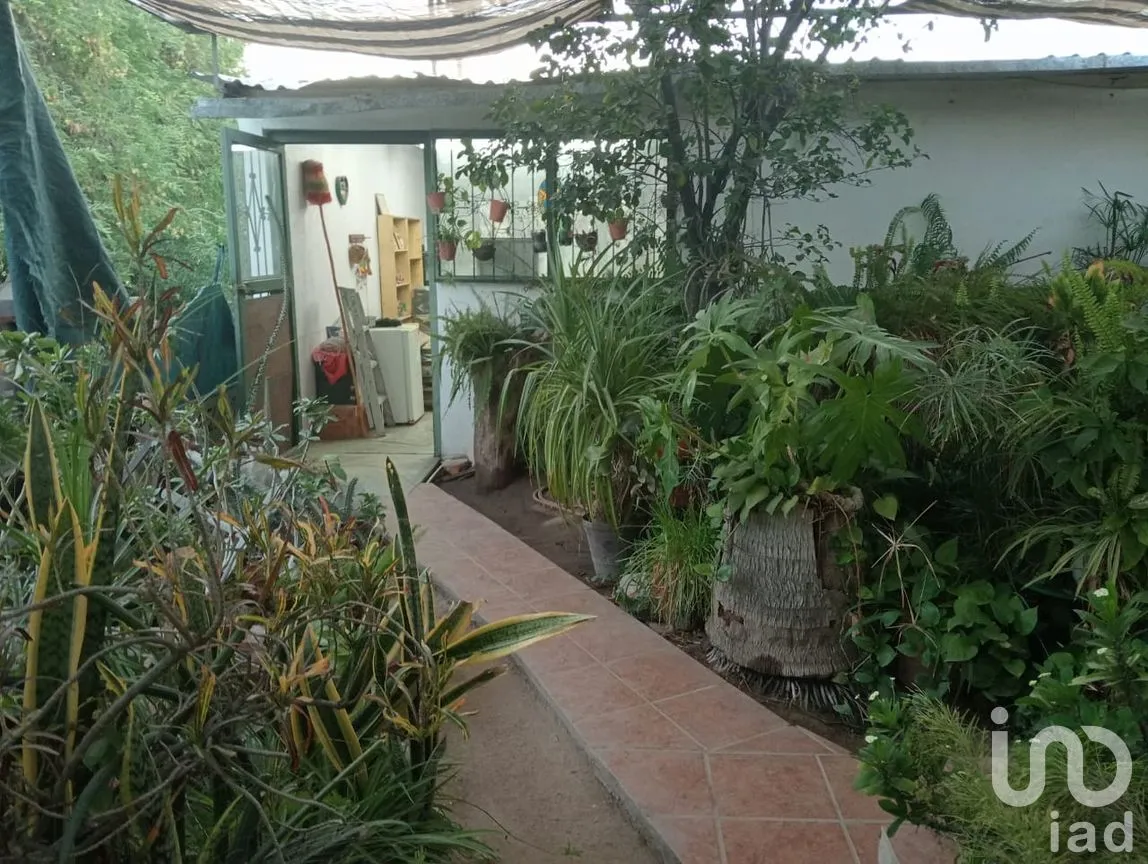 Casa en Venta en Zona Central, La Paz, Baja California Sur | NEX-251136 | iad México | Foto 10 de 12