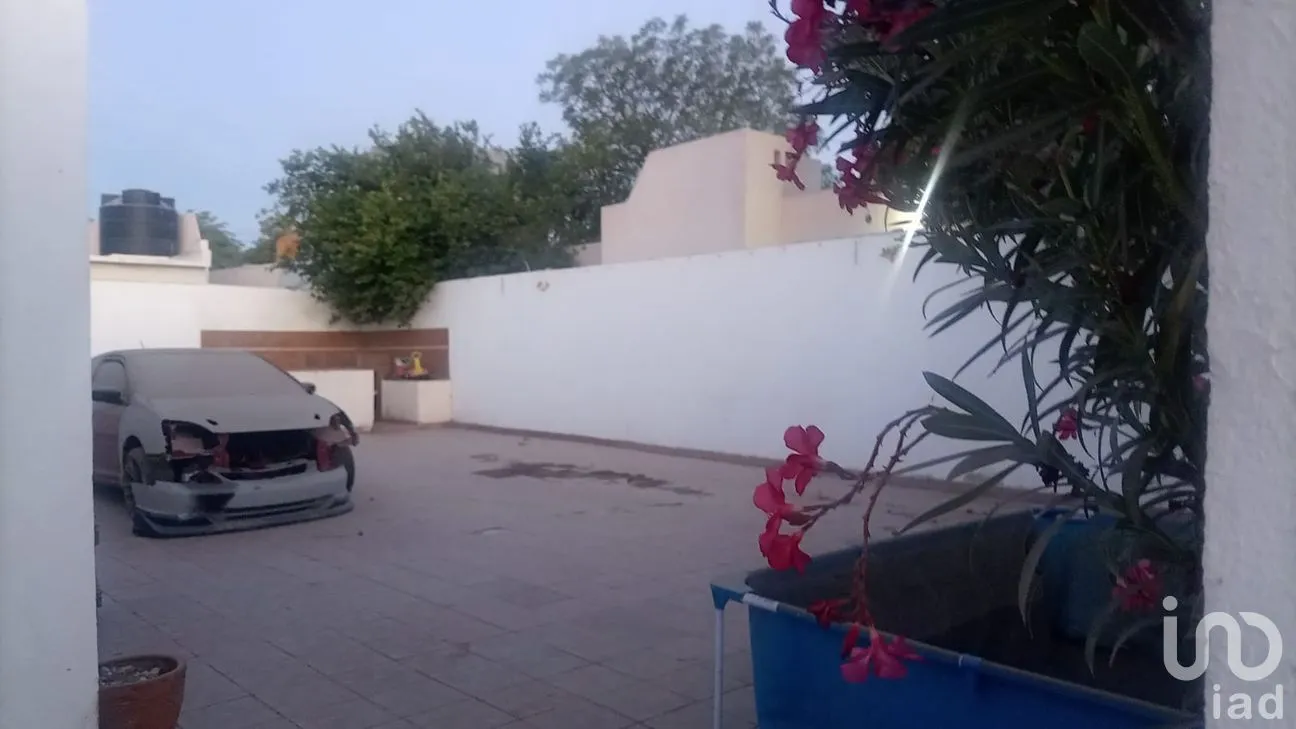 Terreno en Venta en Santa Fe, La Paz, Baja California Sur | NEX-251777 | iad México | Foto 3 de 5
