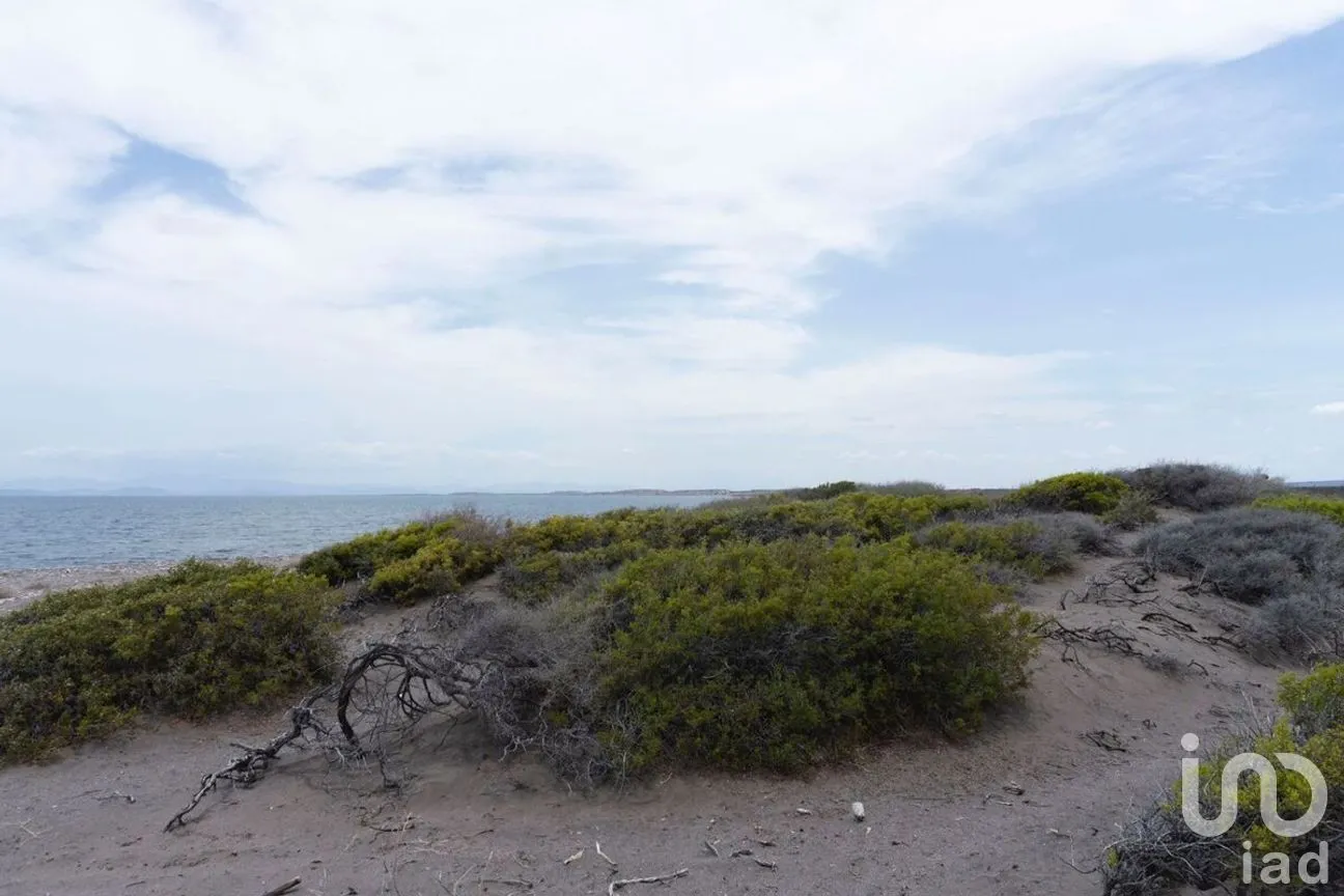 Terreno en Venta en San Juan de la Costa, La Paz, Baja California Sur | NEX-261601 | iad México | Foto 5 de 12