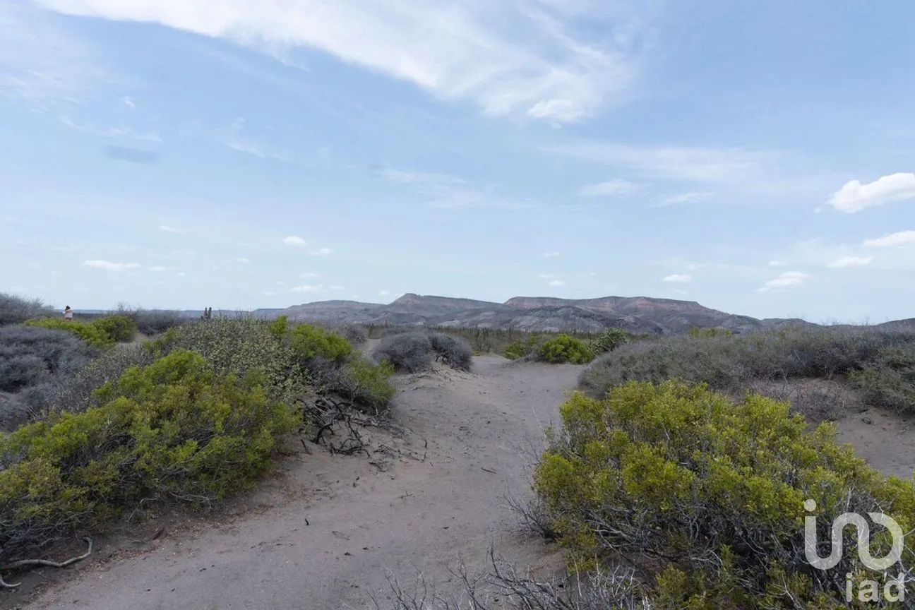 Terreno en Venta en San Juan de la Costa, La Paz, Baja California Sur | NEX-261601 | iad México | Foto 9 de 12
