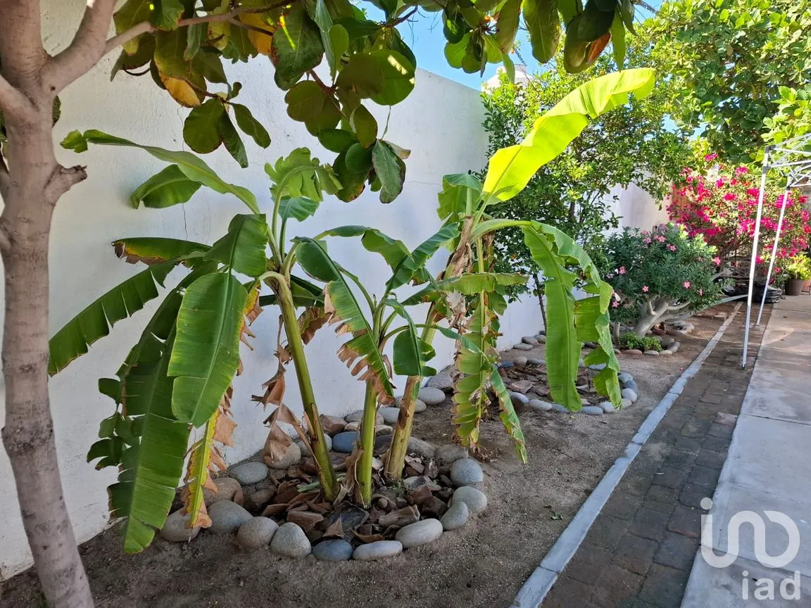 Casa en Venta en Guerrero, La Paz, Baja California Sur | NEX-265563 | iad México | Foto 39 de 49