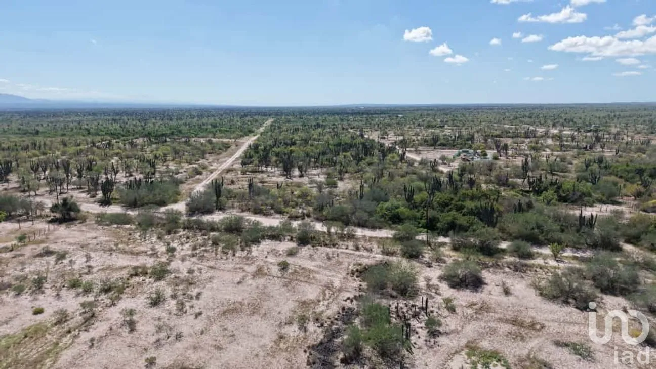 Terreno en Venta en Chametla, La Paz, Baja California Sur | NEX-285328 | iad México | Foto 7 de 13