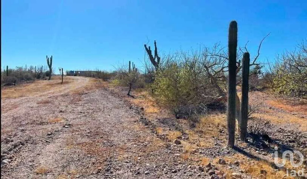 Terreno en Venta en El Centenario, La Paz, Baja California Sur | NEX-305264 | iad México | Foto 5 de 9