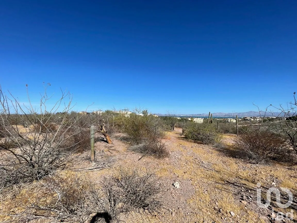 Terreno en Venta en El Centenario, La Paz, Baja California Sur | NEX-305264 | iad México | Foto 6 de 9
