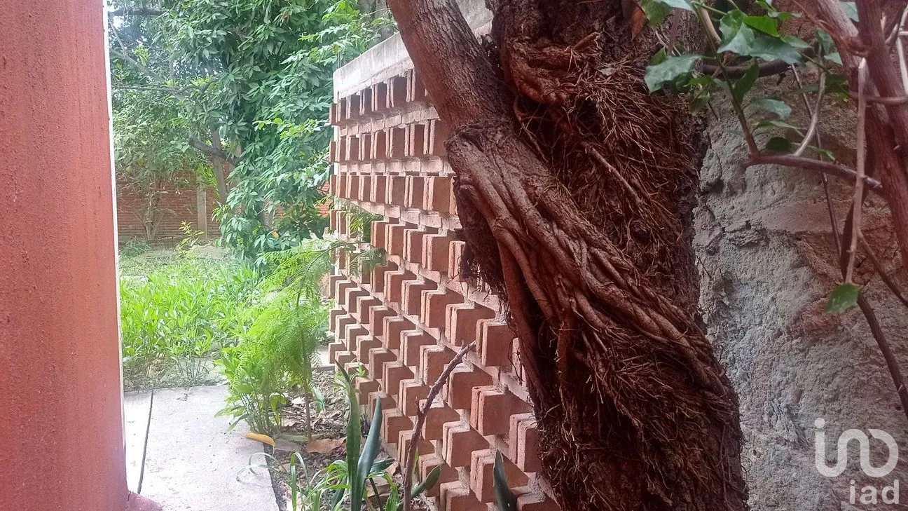 Casa en Venta en Xochimilco, Oaxaca de Juárez, Oaxaca | NEX-262697 | iad México | Foto 19 de 21