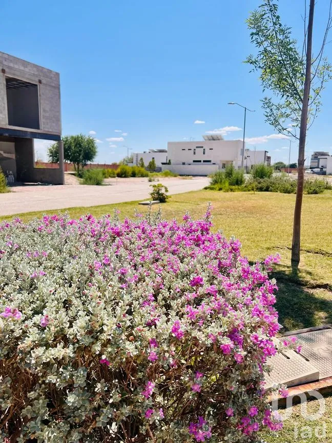 Terreno en Venta en Altozano el Nuevo Juárez, Juárez, Chihuahua | NEX-257334 | iad México | Foto 5 de 6