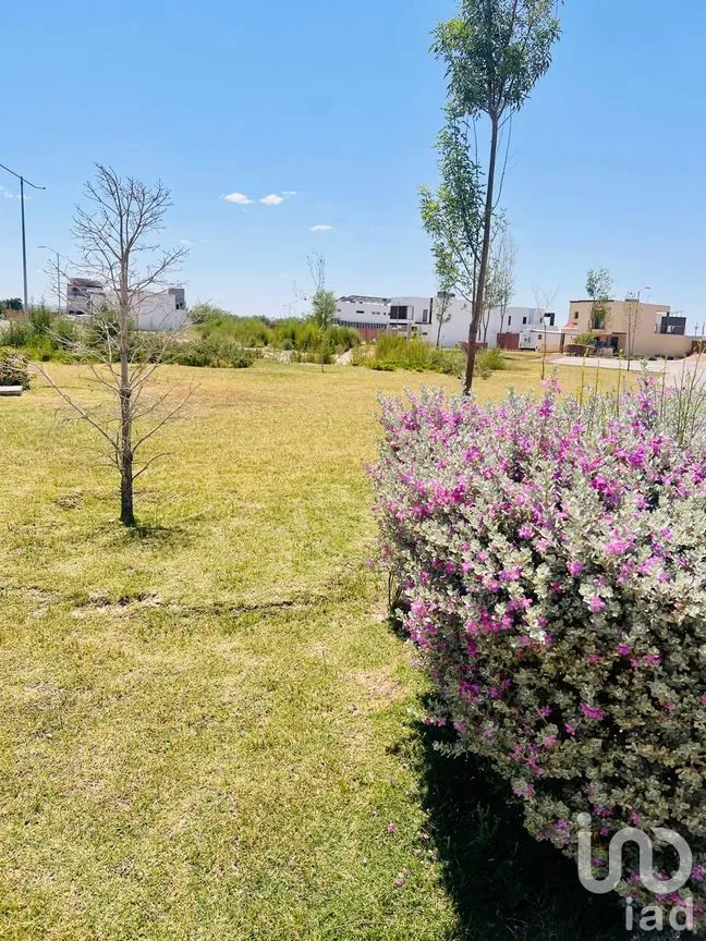 Terreno en Venta en Altozano el Nuevo Juárez, Juárez, Chihuahua | NEX-257334 | iad México | Foto 6 de 6