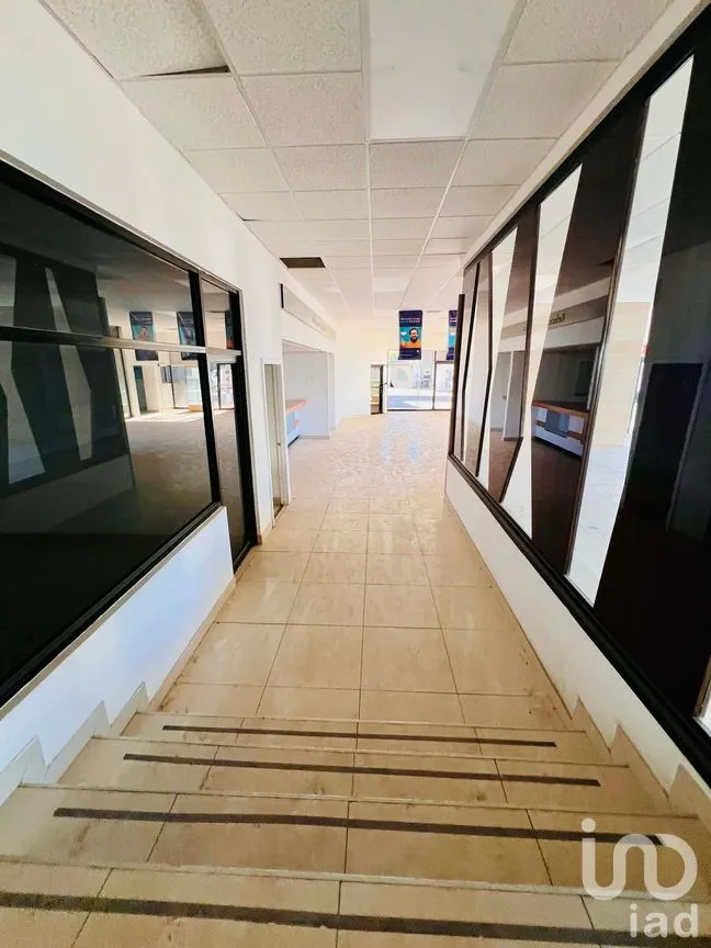 Edificio en Renta en Partido Senecu, Juárez, Chihuahua | NEX-264157 | iad México | Foto 17 de 20