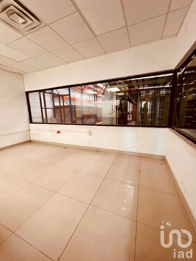 Edificio en Renta en Partido Senecu, Juárez, Chihuahua | NEX-264157 | iad México | Foto 4 de 20