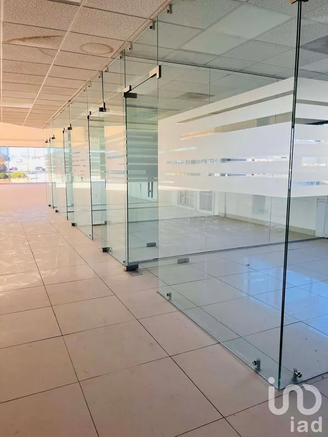 Edificio en Renta en Partido Senecu, Juárez, Chihuahua | NEX-264157 | iad México | Foto 5 de 20