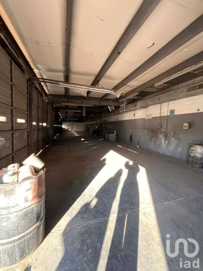 Edificio en Renta en Partido Senecu, Juárez, Chihuahua | NEX-264157 | iad México | Foto 8 de 20